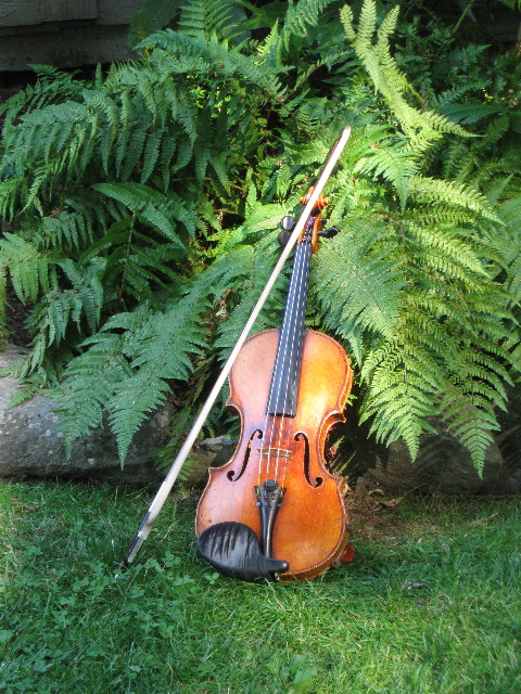 Virginia's violin